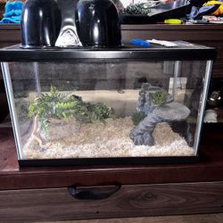 Reptile Snake Enclosure 