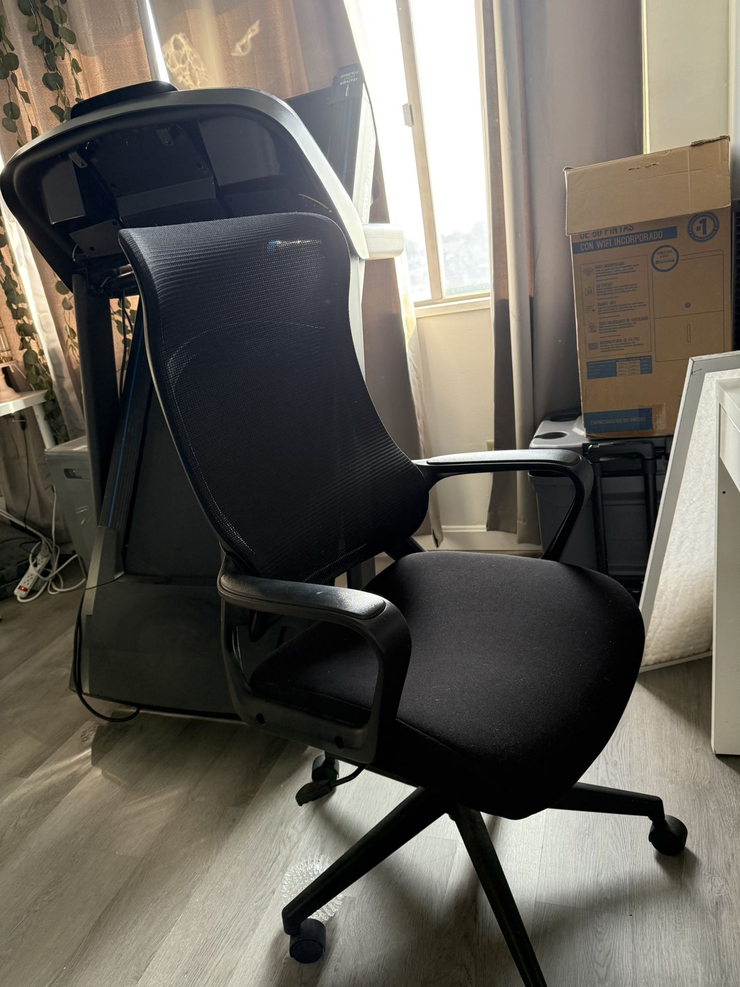 Office Chair 