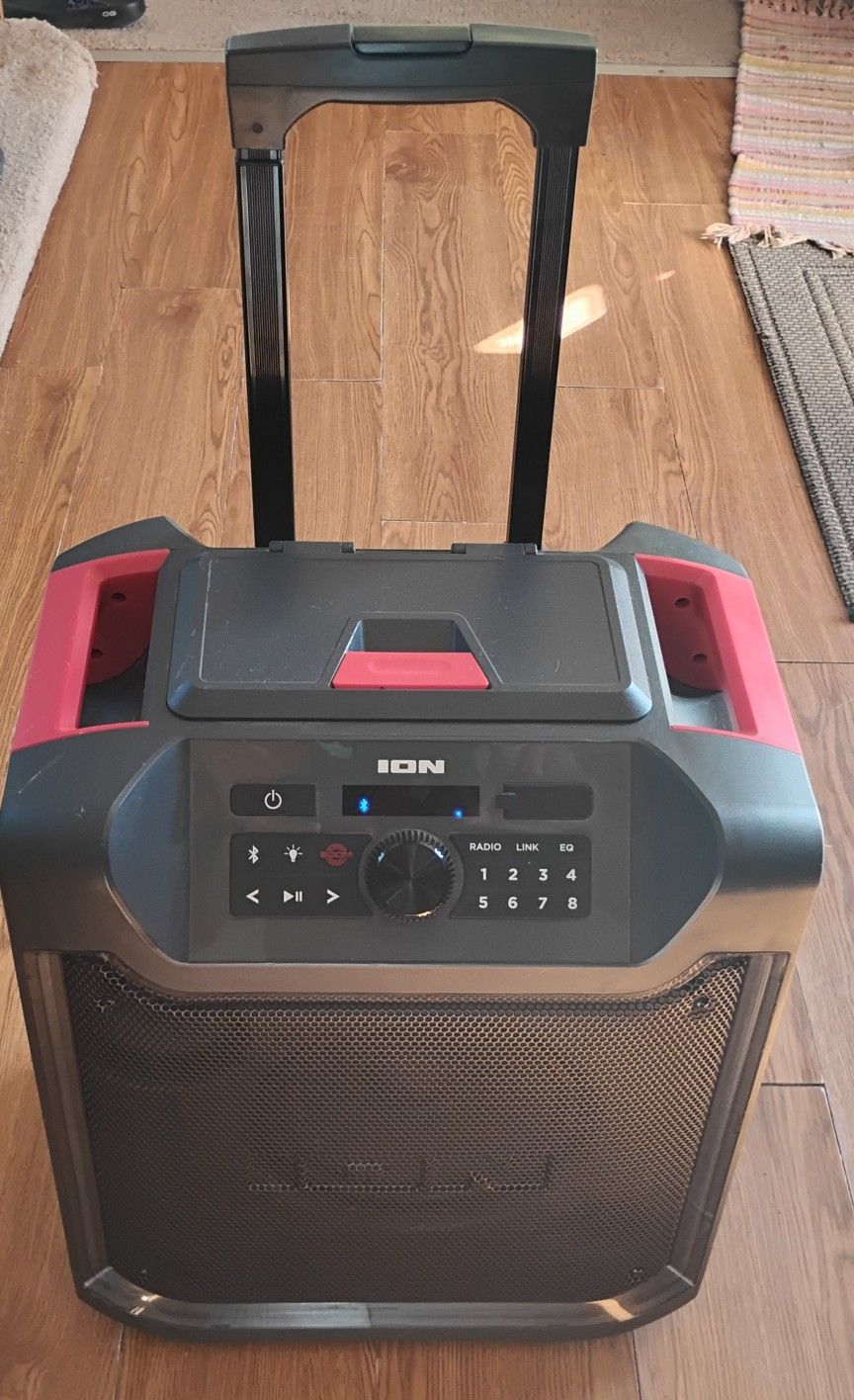 ION Pathfinder 280 Speaker