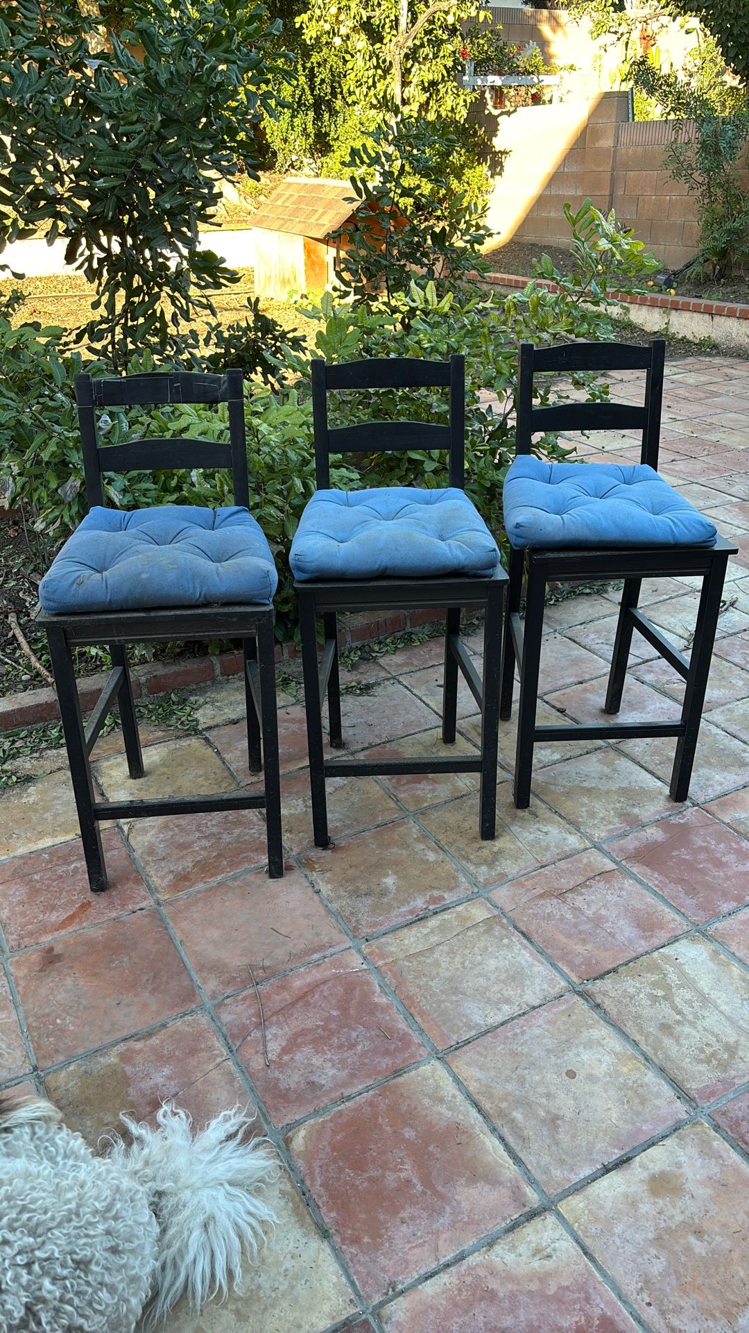 Bar Stools