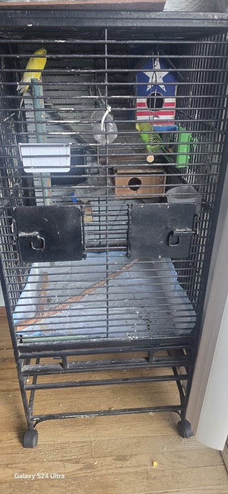 Big Birds Cage