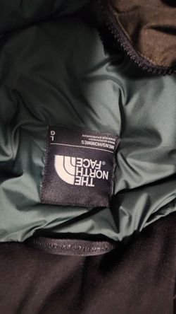 The north face jacket
