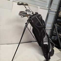 Golf Clubs Spalding  Lion Mix Matched Set 