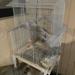 Bird Cage