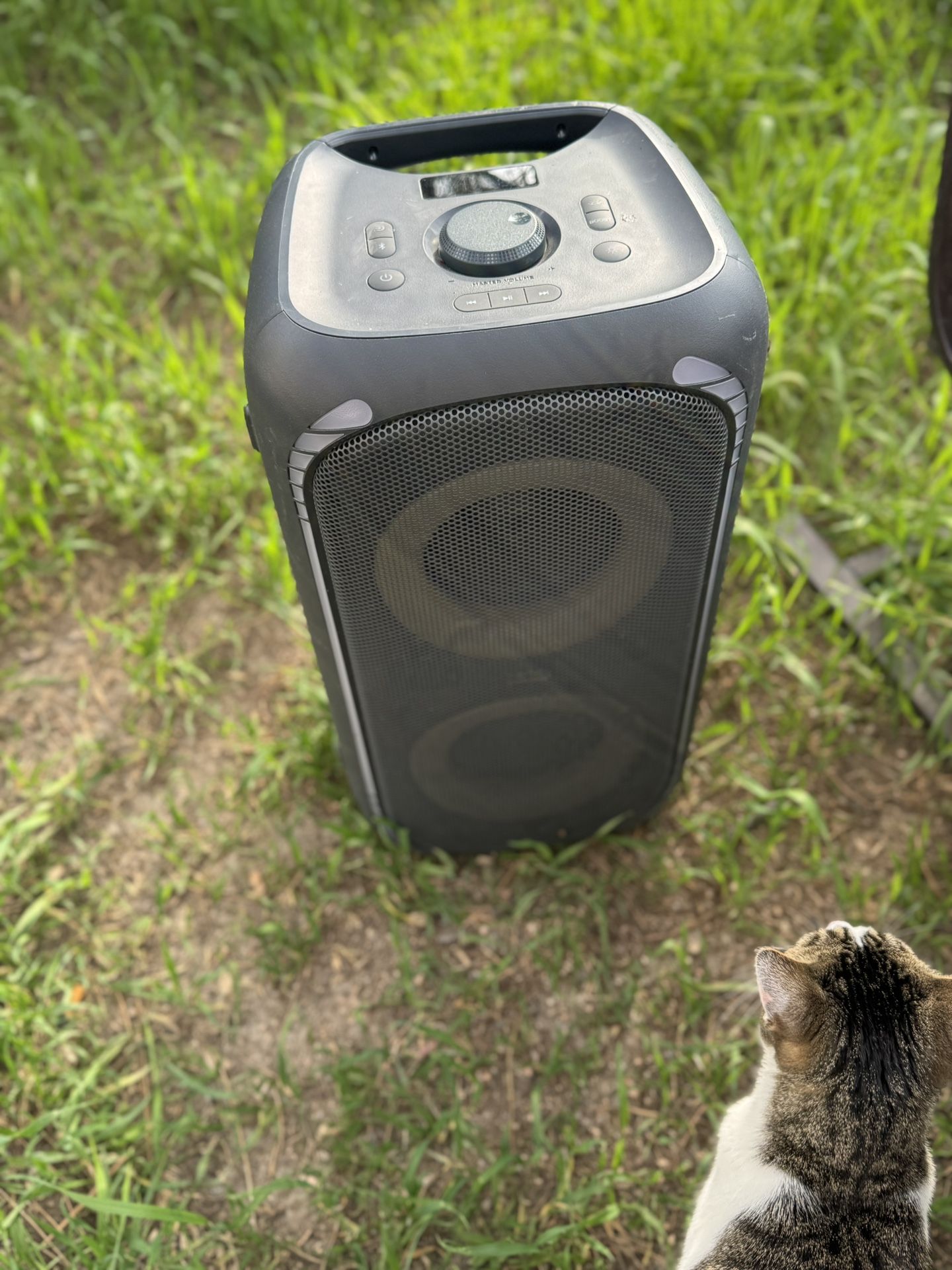 Onn Large Party Speaker