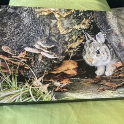 New Bunny Painting/Print