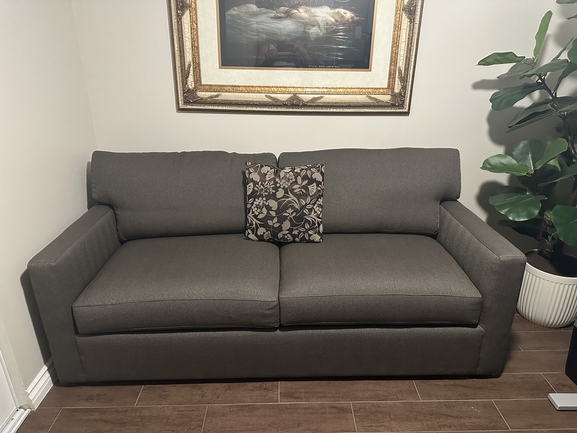 Sofa Cama