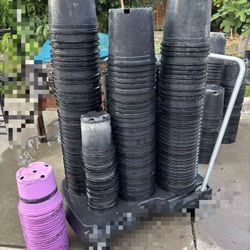 1 Gallon, 1.5 Gallons, 2 Gallons Plant Pots.