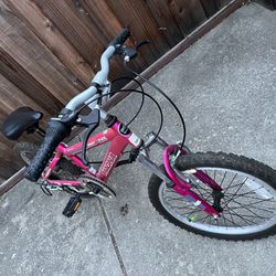 20” Girl Bike