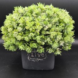 8.5" Faux Boxwood Topiary In Ceramic Pot "Live"