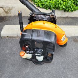 Echo Blower