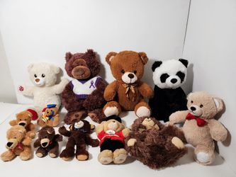 Soft & Cuddly Teddy Bears Lot