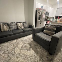 Sleeper Sofa Set 