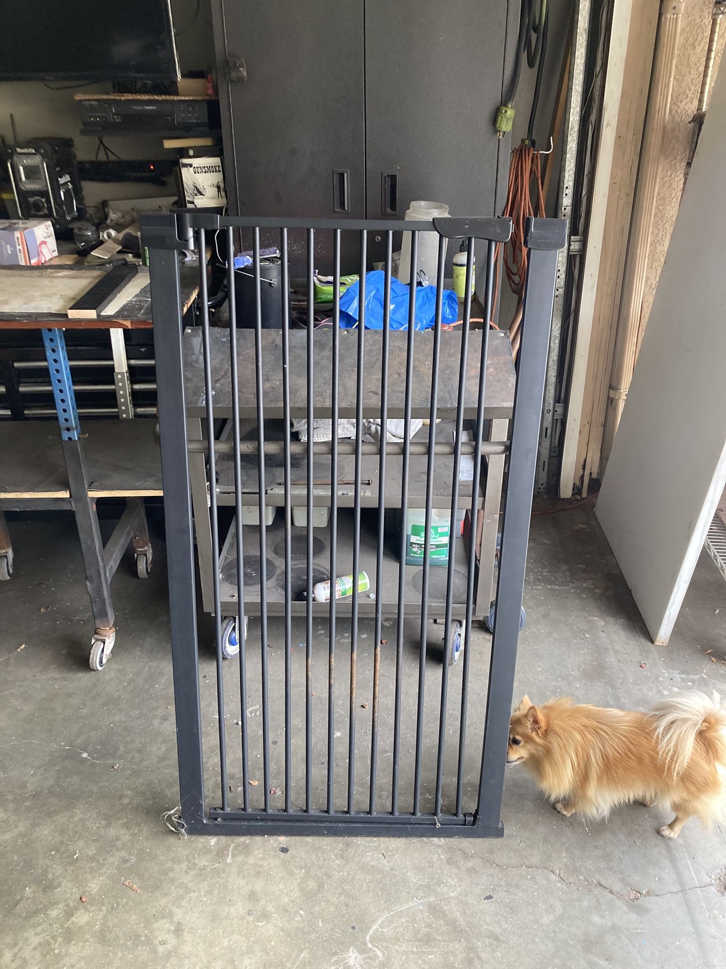 Pet gate.