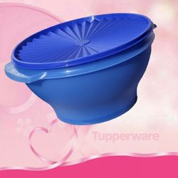 Tupperware México 