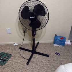 Fan