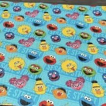 Reversible Sesame Street Play Mat