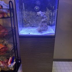24 Gallon Recife Fish Tank 