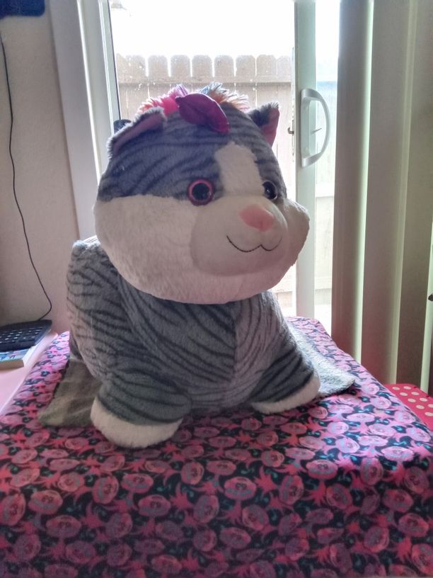 Free Stuffed Animal