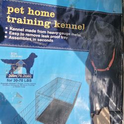 Pet Kenel