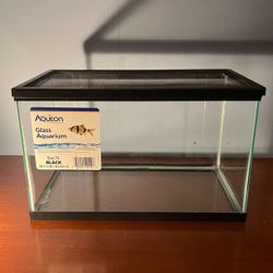 10g Tank With Lid 