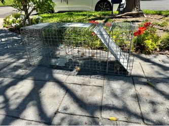 Free animal trap
