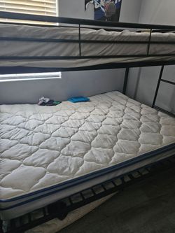 Bunk beds