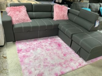 Pull Out Sleeper Sofa Huge Blowout Sale Only $1299