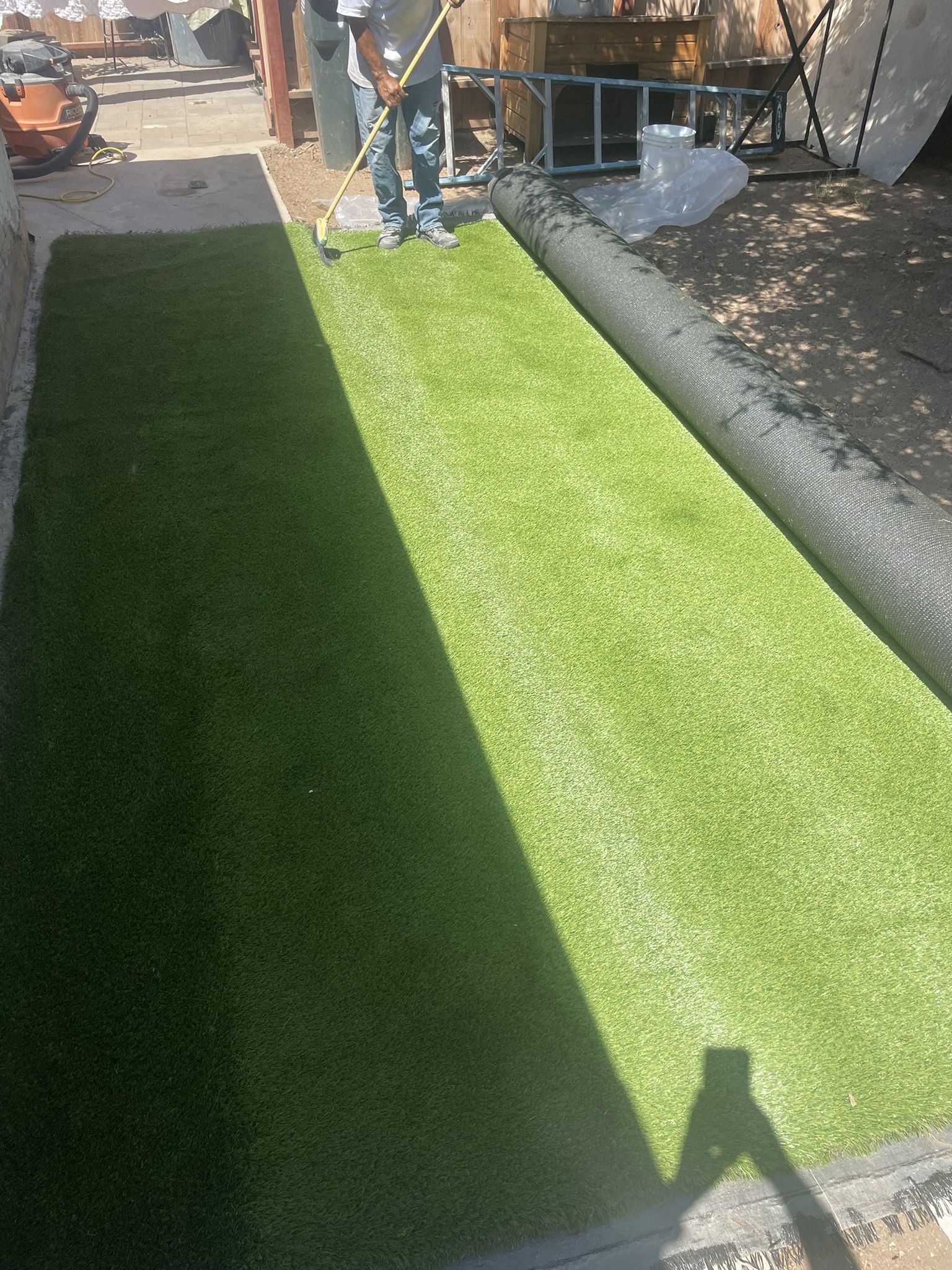 Turf Grass