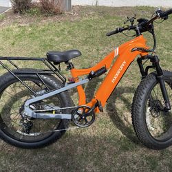 2025 Labrador Pro E-Bike - Mint Condition!