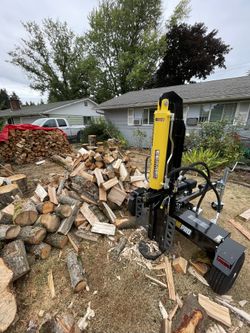 Champion Wood Splitter