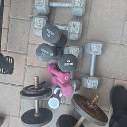  Weights  and Weslo