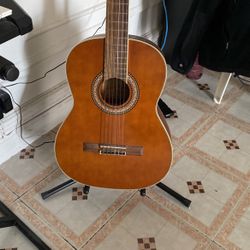 Carlo Robella Acoustic Flamingo Guitar 