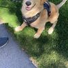 Kevin