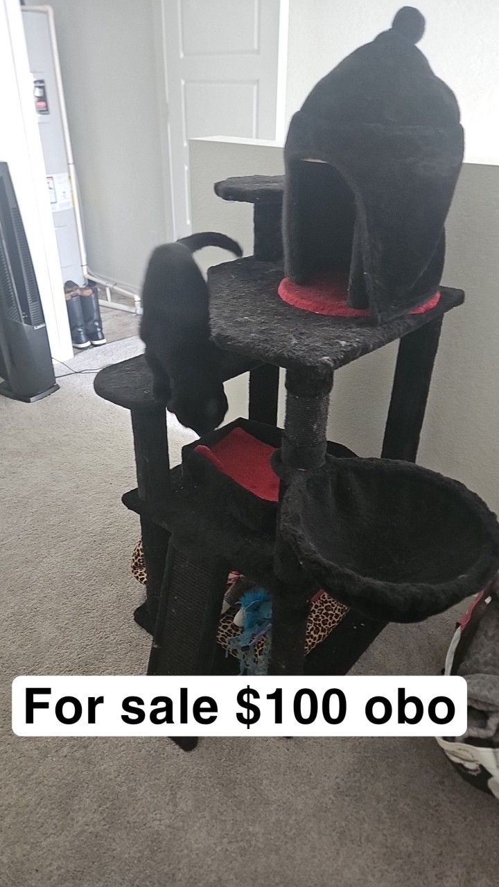 Cat Tower - Gothic