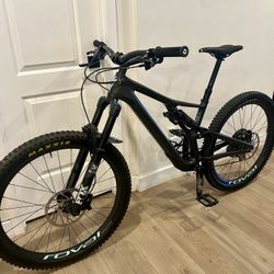 Specialized SJ Evo Pro Carbon Frame + Carbon Wheels 