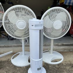 Fan Lot