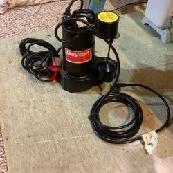 Dayton 1/3 HP Pump