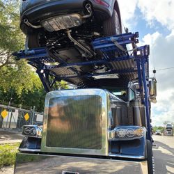 Are You In Need Of Vehicle Transport! Or Others?