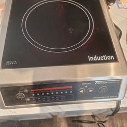 Portable Induction Unit 