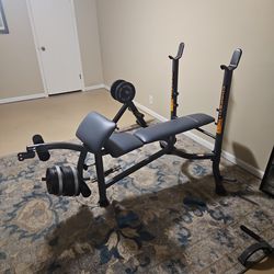 Weight bench with free weights