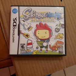 Nintendo DS game