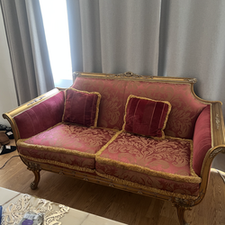 Vintage antique French sofa set as is ask for the price