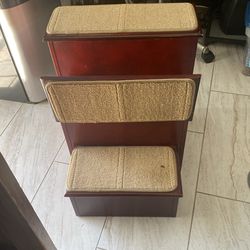 Steps For Puppy With Compartment 