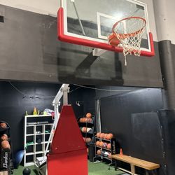 Professional Basketball Hoops