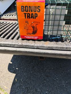 Squirrel trap and rats