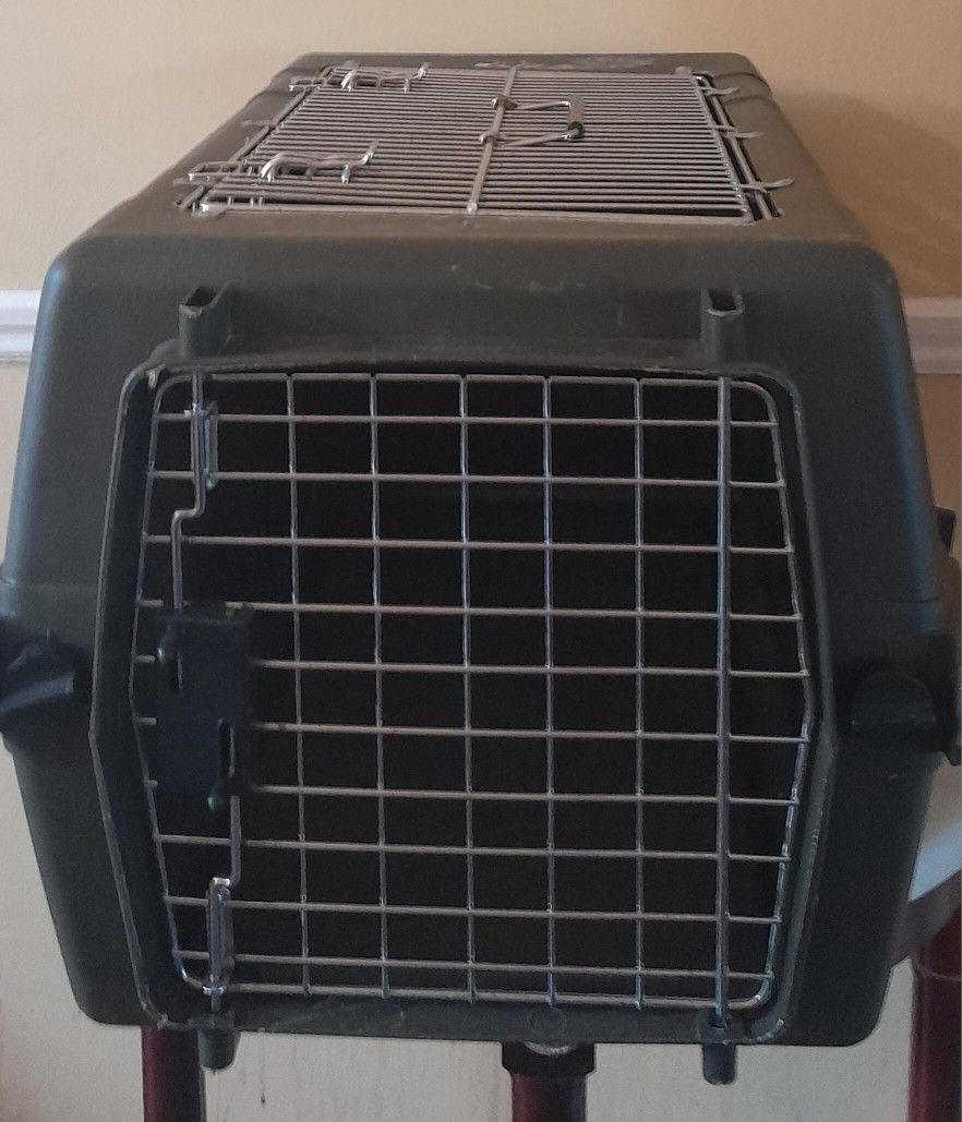 Cat Pet Carrier