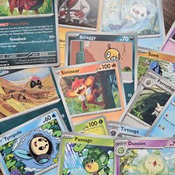 Pokemon Cards