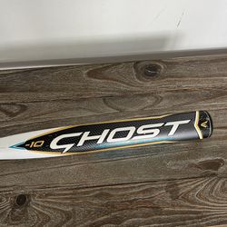 Easton Ghost Double Barrel Fastpitch bat 33 -10 