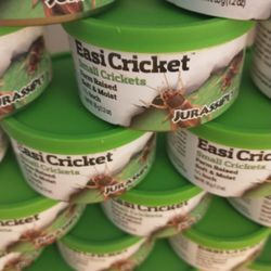 EASI CRICKETS FOOD